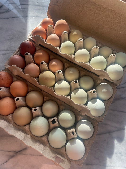 Pasture Raised Eggs