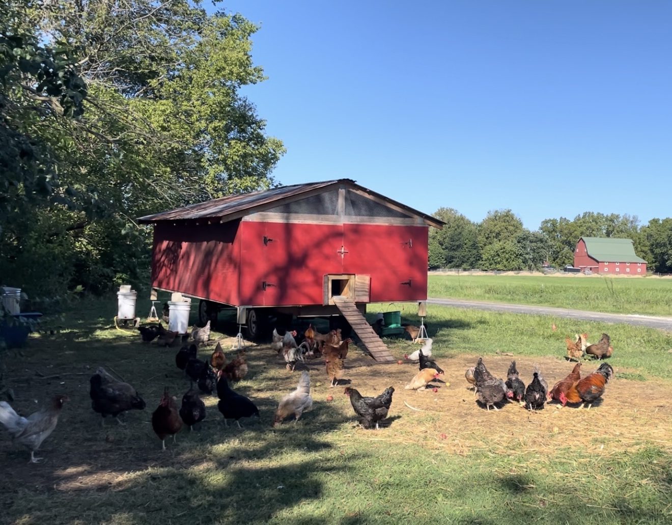 Kell Squires Pastures photo 12