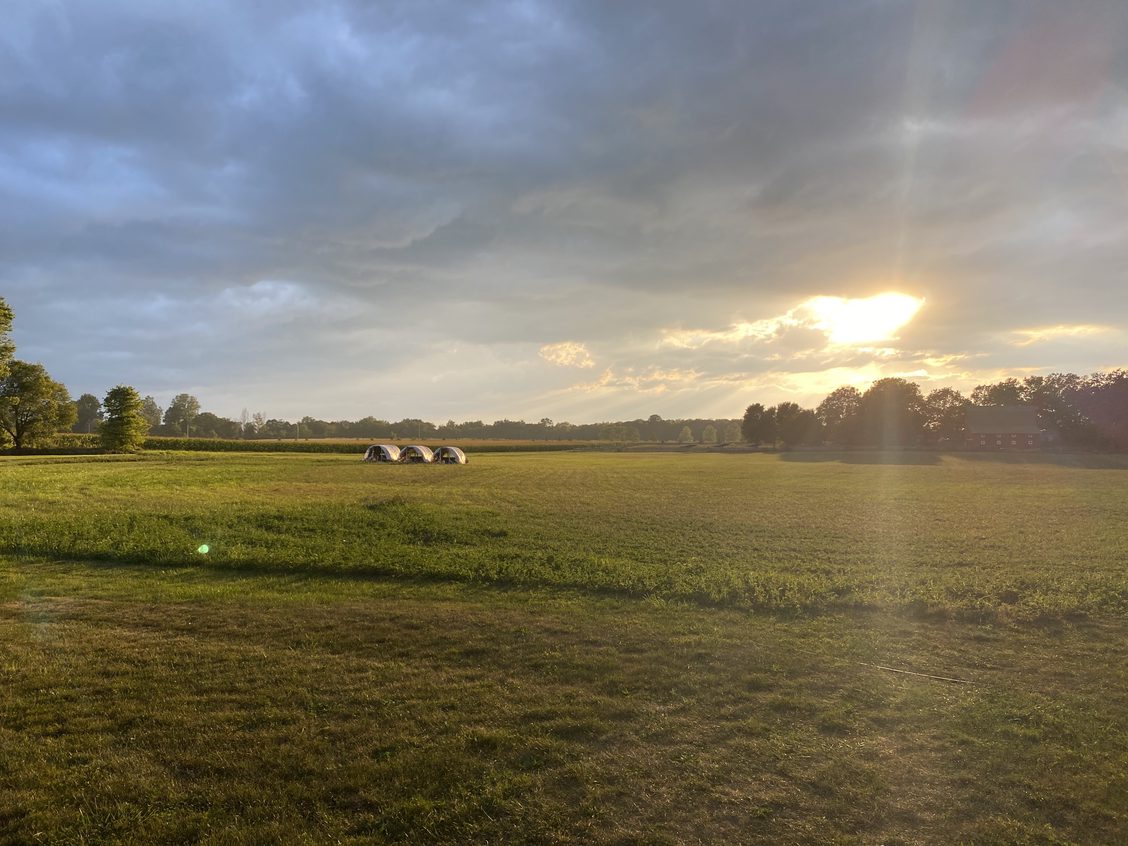 Kell Squires Pastures photo 8